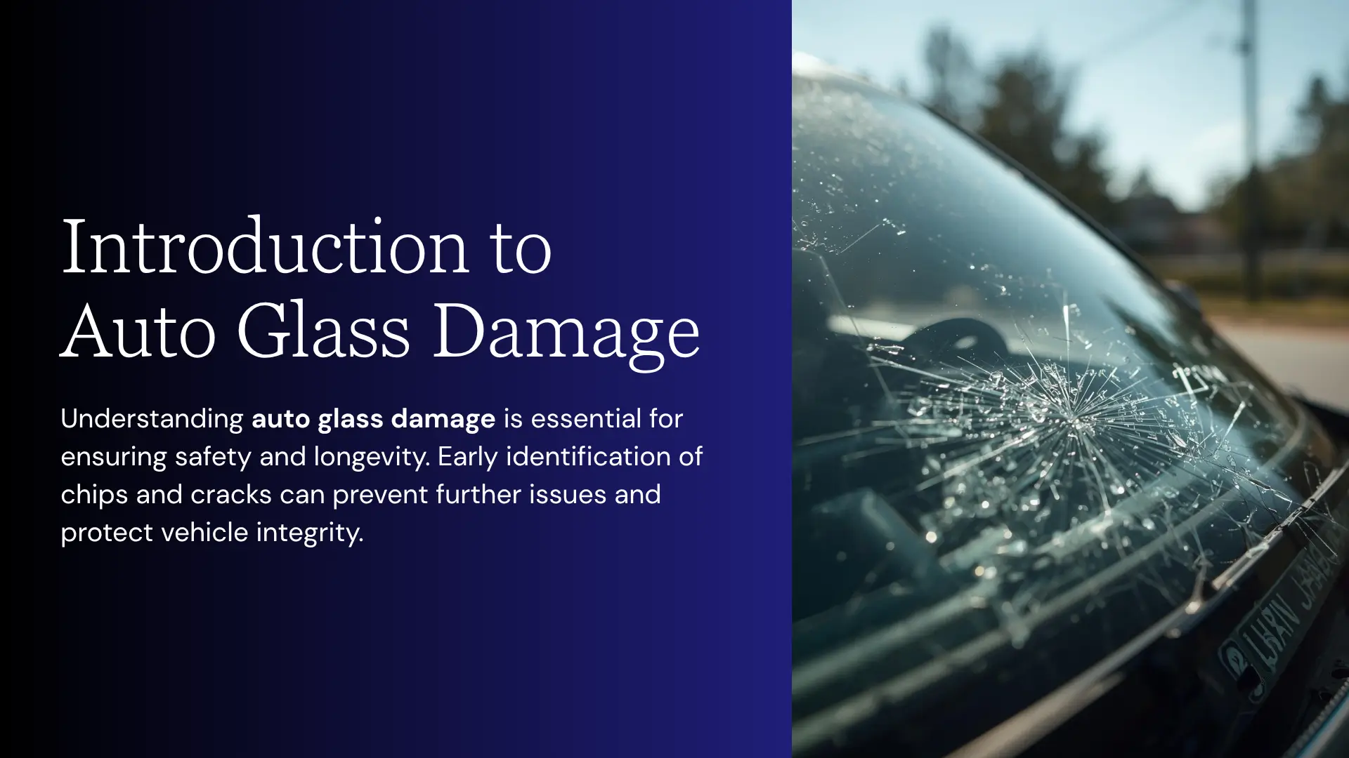 Common Types of Auto Glass Damage and Solutions: technician performing windshield replacement